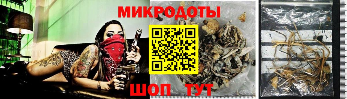 Псилоцибиновые грибы Cubensis Богданович